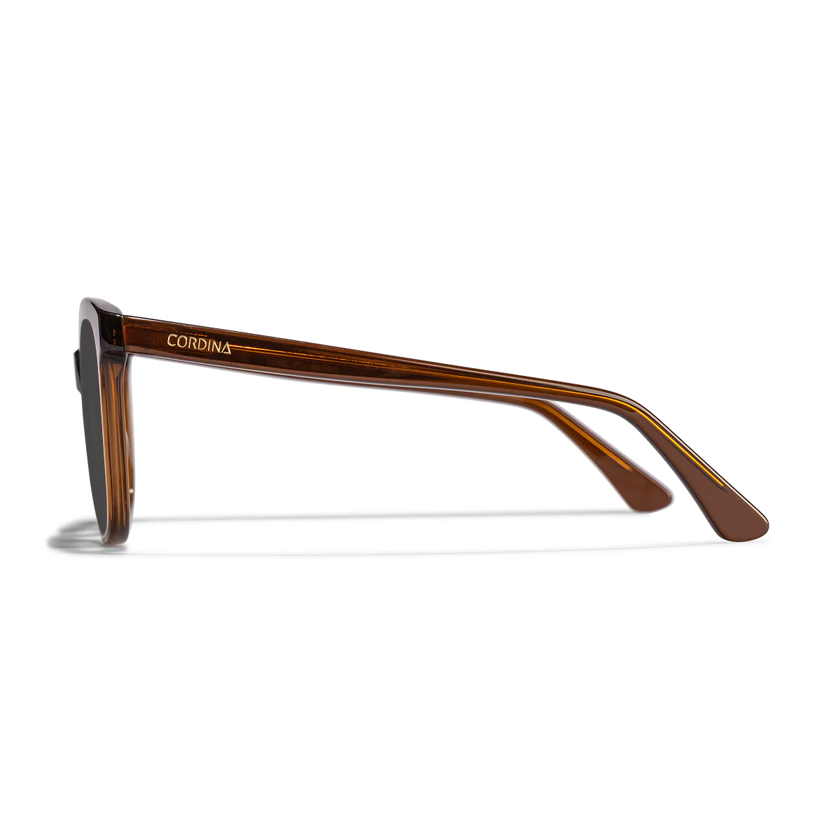 Cordina Dune Sunglasses-Shiny Coffee/Grey Polar - Image 3